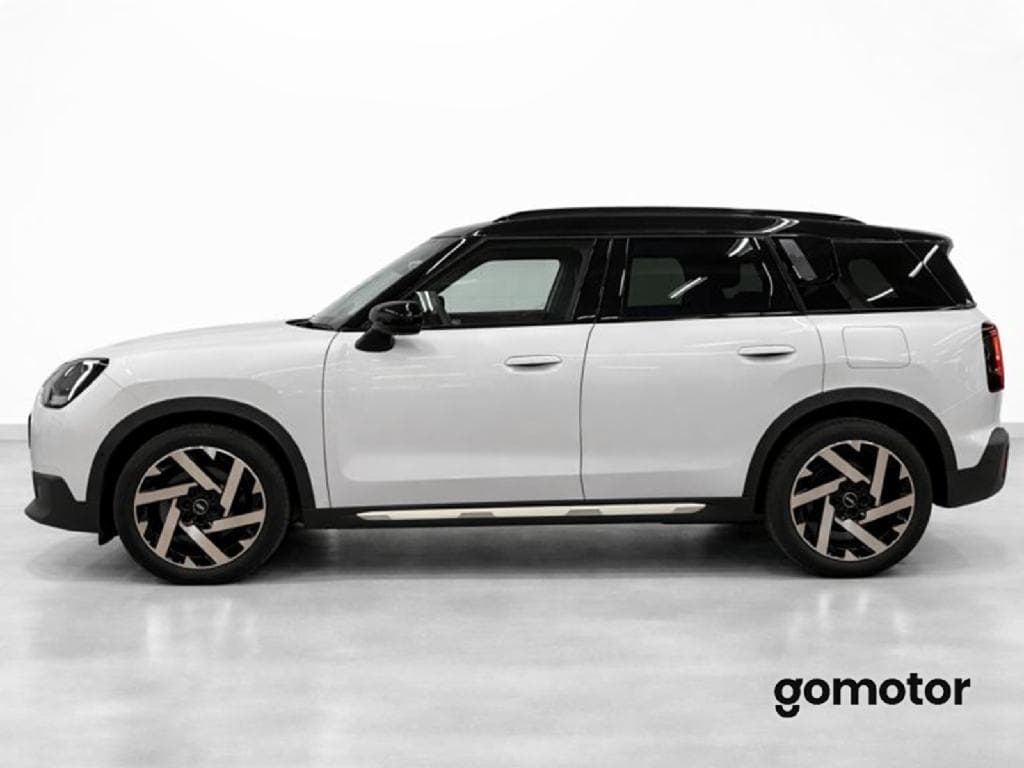 Imagen 6 del mini countryman