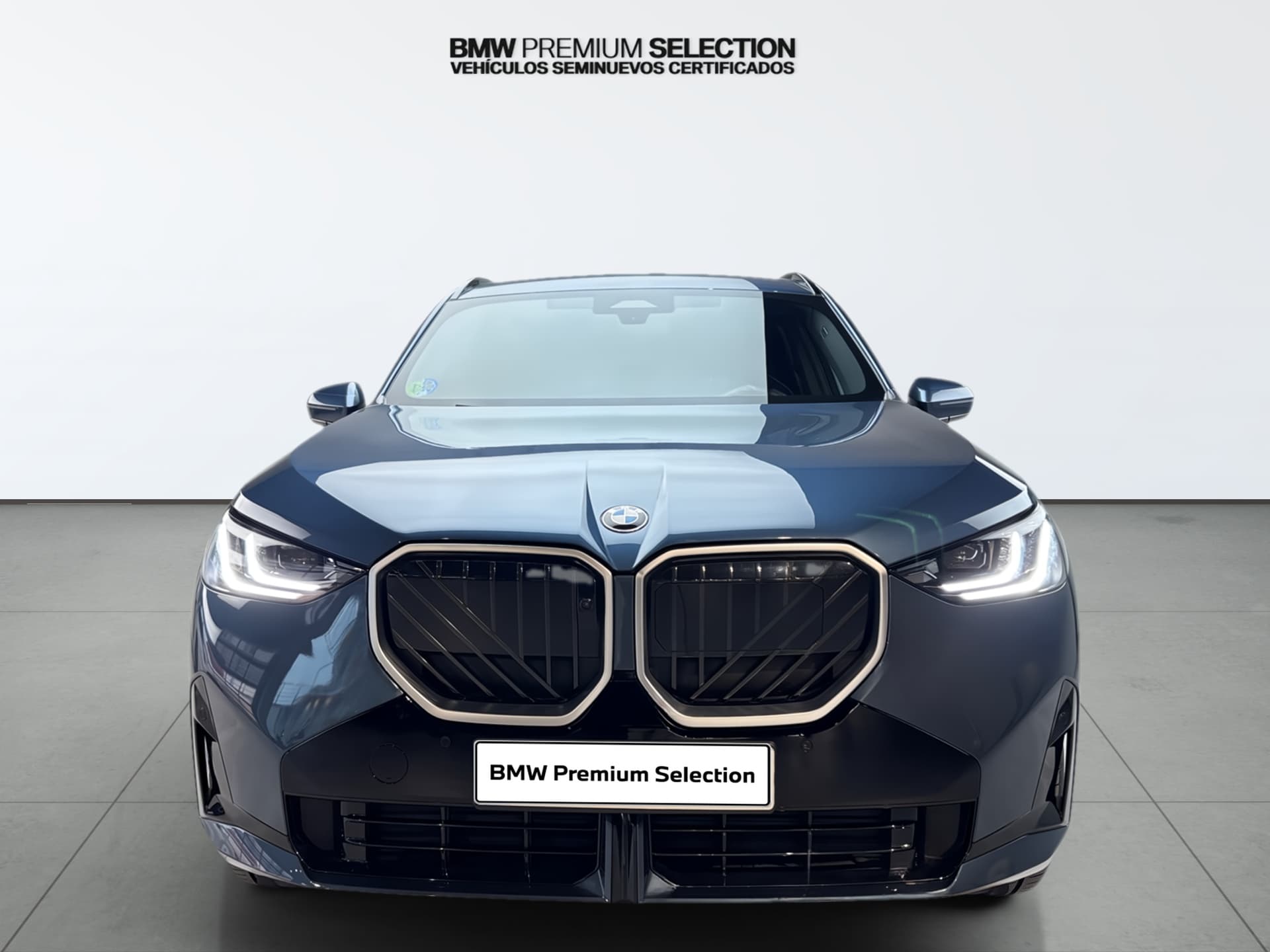 Imagen 6 del bmw x3