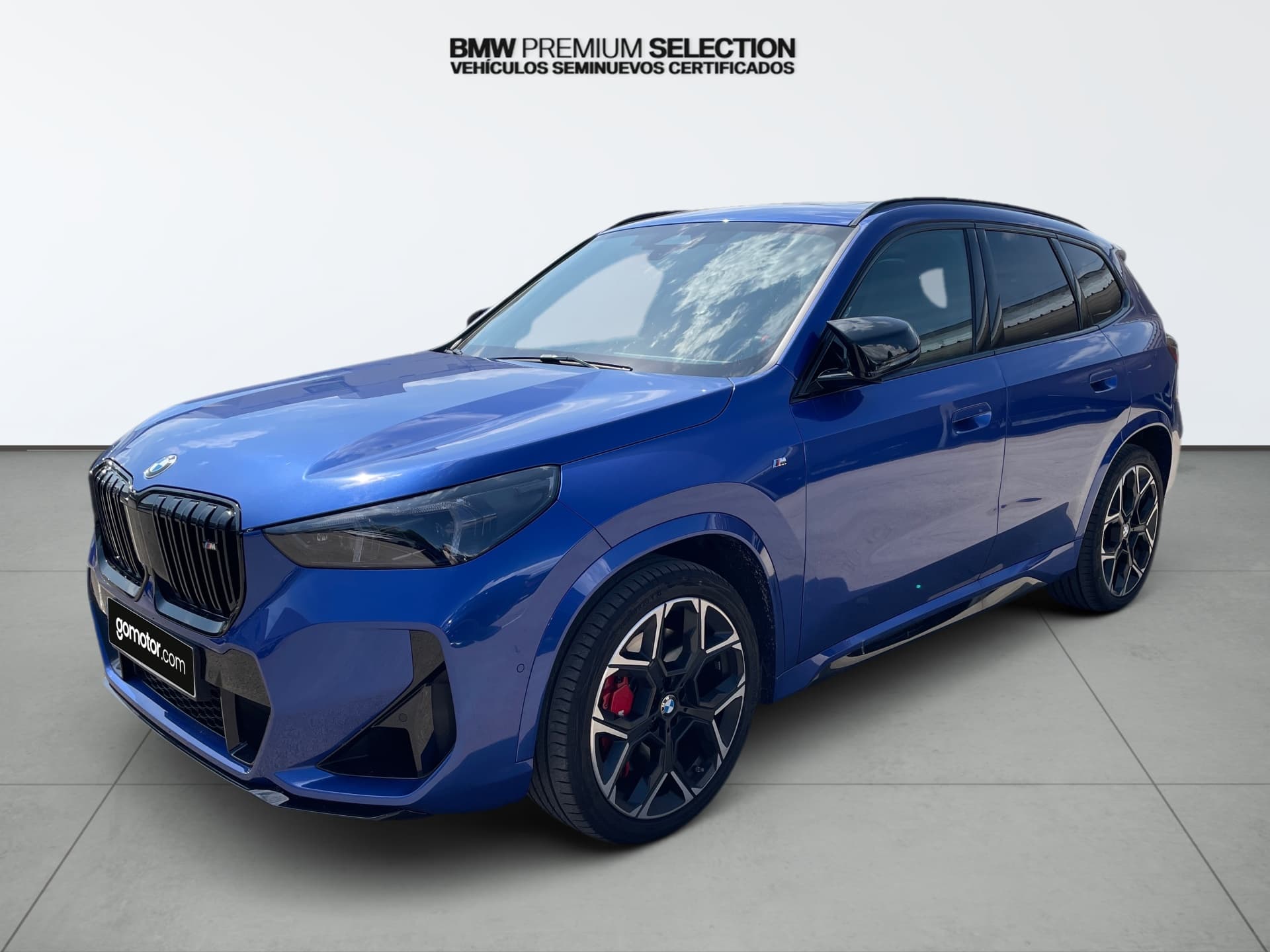 Coche bmw x1 en venta